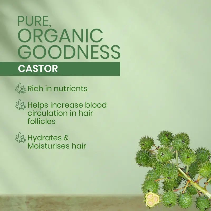 Kesh King Organics - Organic Castor Anti Hairfall and Strengthening Shampoo 300 ml - Image 3