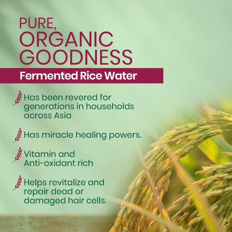 Kesh King Organics - Organic Fermented Rice Water Shampoo 300 ml - Image 6