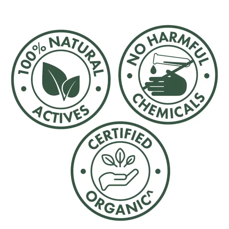 Kesh King Organics Anti Dandruff Organic Neem & Bhringraj Shampoo + Conditioner Combo, Ayurvedic - 500ml - Image 2